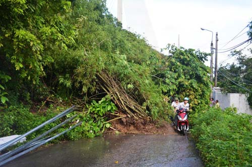 
	Mưa lớn gây sạt lở đất đá, cây cối tuyến đường 336, phường Yết Kiêu (TP Hạ Long).