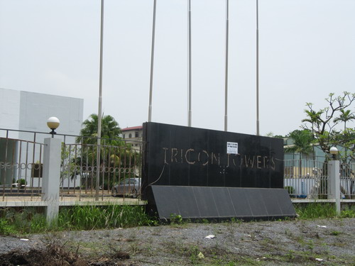 Đắng lòng nhìn cảnh hoang tàn tại dự án Tricon Towers (1)