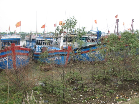 Tàu, thuyền tránh trú bão tại thị xã Sầm Sơn (Thanh Hóa). Ảnh: Hoàng Lam