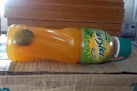 Hình ảnh vật thể lạ trong chai nước cam Twister của Pepsico.