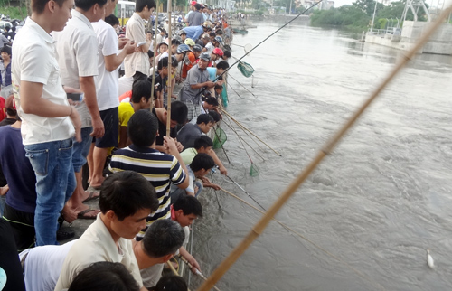 Hà Nội xả nước vào nội thành, người dân vợt bắt hàng tạ cá 