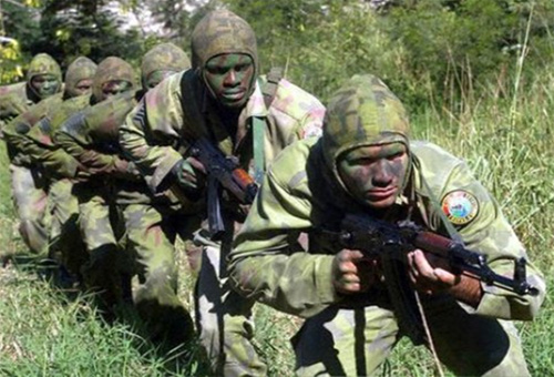 Các phân đội đặc nhiệm độc lập của Nam Phi chiến đấu chống lại các băng nhóm phiến quân FAPLA và SWAPO.