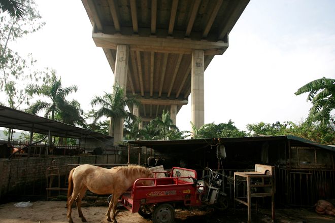 
	Thậm chí trang trại này còn nuôi cả ngựa. Bình thường dùng để chuyên chở hàng hóa, tuy nhiên mỗi khi có khách cần, ngựa sẽ được bán để làm thịt.