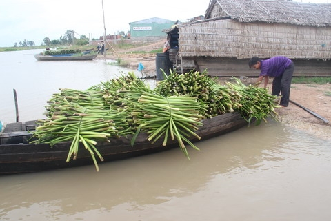 Tương lai, phận người, không quốc tịch, Campuchia