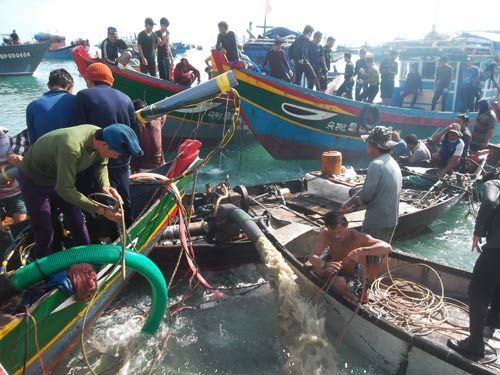 Kỳ bí ‘nghĩa đĩa’ chôn vùi nhiều tàu cổ vật