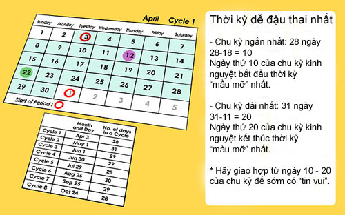 4 cách tính ngày trứng rụng cực chuẩn - 3