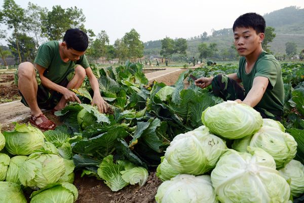 Một ngày tập luyện của những chàng lính trẻ