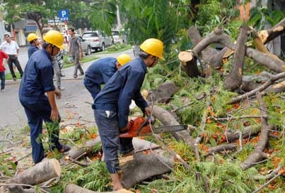 sai phạm, tiền lương