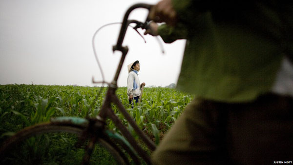  Ngắm toàn cảnh Việt Nam qua ống kính nhiếp ảnh gia Mỹ