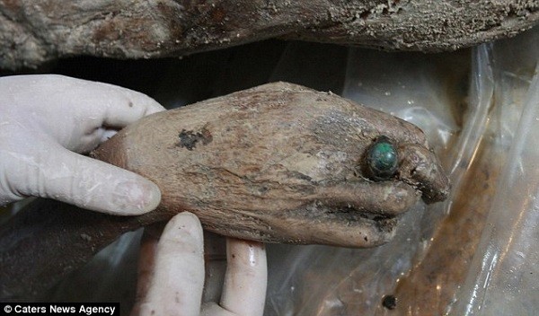 Những xác ướp nguyên vẹn được tìm thấy trong 20 năm qua 13