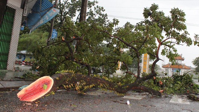 	Tại thành phố Huế, gió mạnh khiến nhiều cây cổ thụ trên đường phố ngã đổ. Hơn 300 hộ dân ở các vùng thấp trũng khu vực 4 (phường Phú Hậu); dân vạn chài trên sông Kẻ Vạn (phường Kim Long) được di dời lên bờ.