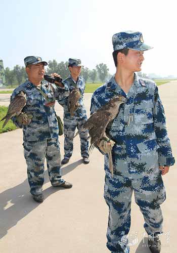 Trung Quốc sử dụng đội quân "chim ưng" vào việc gì?