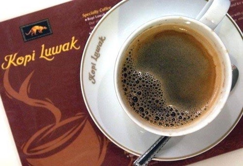  	Mỗi ly cà phê phân chồn cao cấp của Civet hay Kopi Luwak đều được bán 	với mức giá từ 30 USD đến 100 USD ở thị trường New York hoặc London.