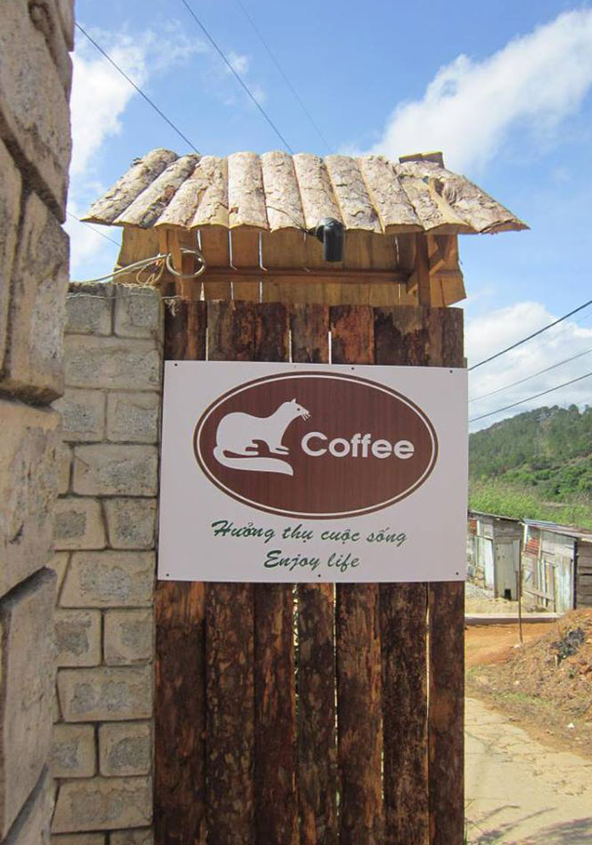 Cận cảnh trang trại cà phê chồn 42 tỷ đồng tại Đà Lạt (1)