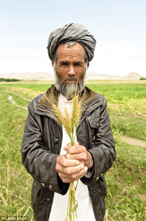 Hamidullah: Afghanaid ¿s tình nguyện viên và các chuyên gia đã xây dựng đường giao thông, trường học, nông nghiệp phát triển và các doanh nghiệp nông thôn