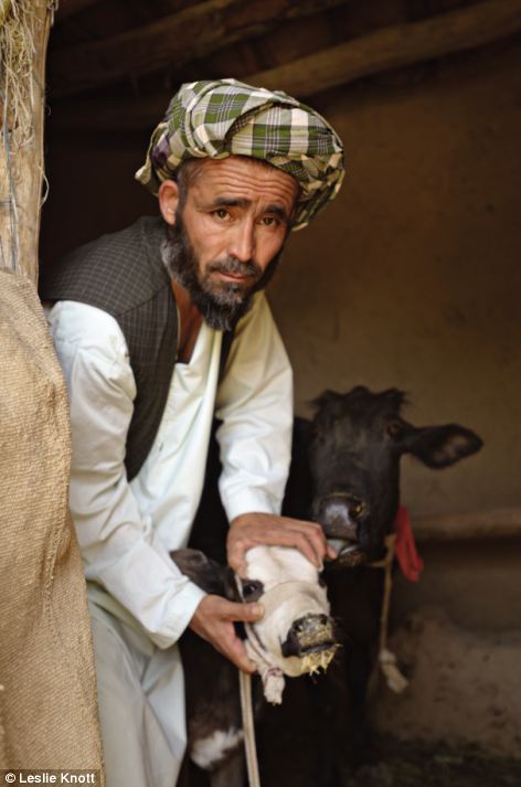 Nông nghiệp: Lal Mohammad là hình ở đây với vật nuôi của mình 