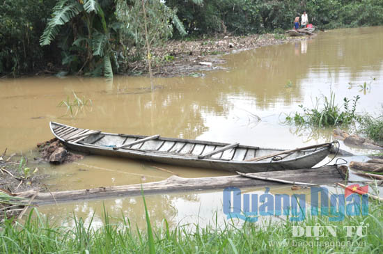 Những thân cây gỗ quá lớn và dài chưa thể đưa lên bờ được người dân phải dùng dây buộc vào ghe và các thân cây trong bờ.