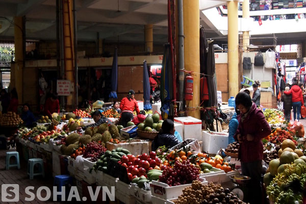 Hoa quả TQ nhập lậu có chứa các chất độc hại bày bán tràn lan trên thị trường khiến người tiêu dùng lúng túng khi lựa chọn sản phẩm.