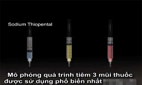 Theo Nghị định số 47/2013/NĐ-CP, lúc thi hành án tử hình mỗi tử tù sẽ được tiêm 1 liều bao gồm 3 loại thuốc sau: Thuốc làm mất trí giác; Thuốc làm liệt hệ vận động; Thuốc làm ngừng hoạt động của tim.