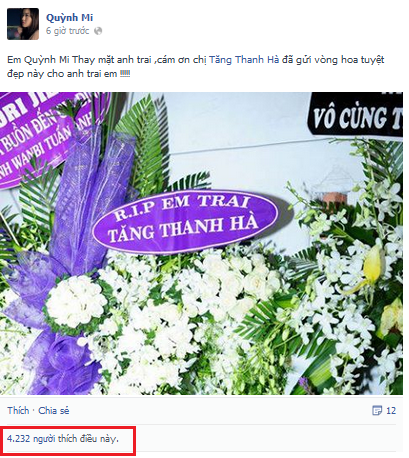 Xuất hiện facebook giả em gái Wanbi Tuấn Anh nhằm mục đích câu like