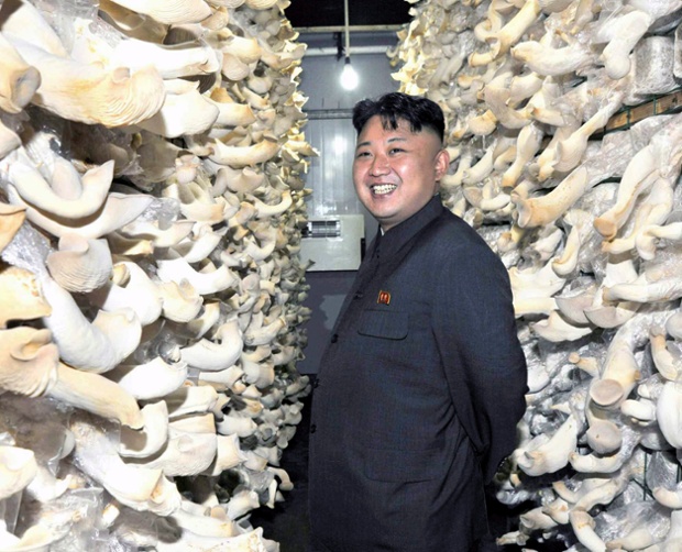 Nhà lãnh đạo Kim Jong-un đi thị sát nông trường trồng nấm vừa xây dựng thuộc đơn vị quân đội 534 của Triều Tiên.