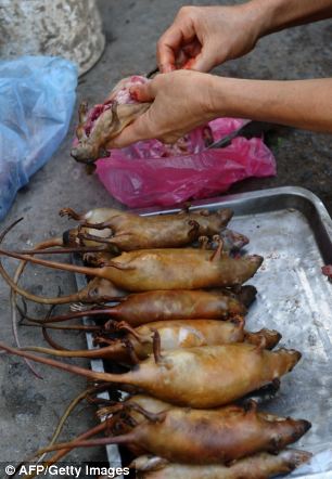 Chuột, chuột ngon, chỉ có 100.000 đồng: Một nhà cung cấp bán Việt giết chuột vào một thị trường làng