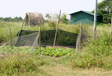 dự-án-bỏ-hoang, rà-soát, khu-đô-thị, huyện-Mê-Linh, điều-chỉnh-quy-hoạch