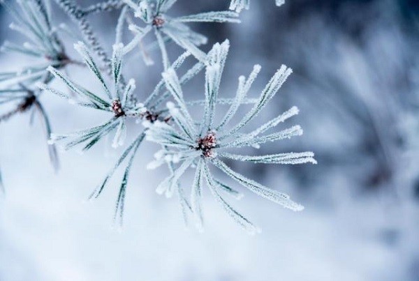 6 hiện tượng thiên nhiên tuyệt đẹp chỉ có vào mùa đông 2