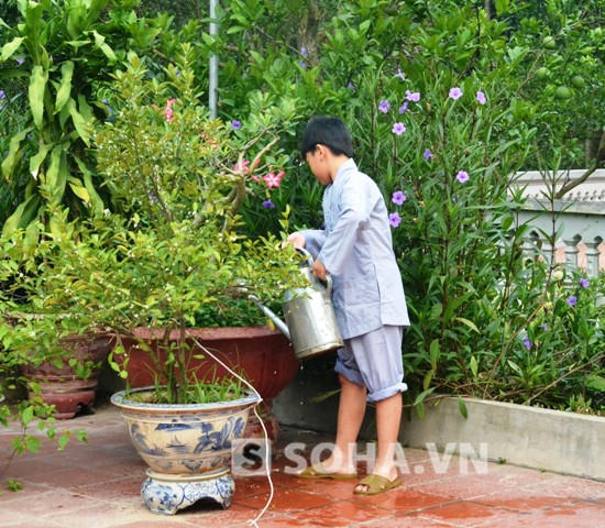 
	Kết thúc thời khóa tụng kinh, Thiền sinh sẽ đi chấp tác bằng những công việc khác nhau như tưới cây