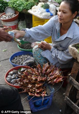 Chuột, chuột ngon, chỉ có 100.000 đồng: Một nhà cung cấp bán Việt giết chuột vào một thị trường làng