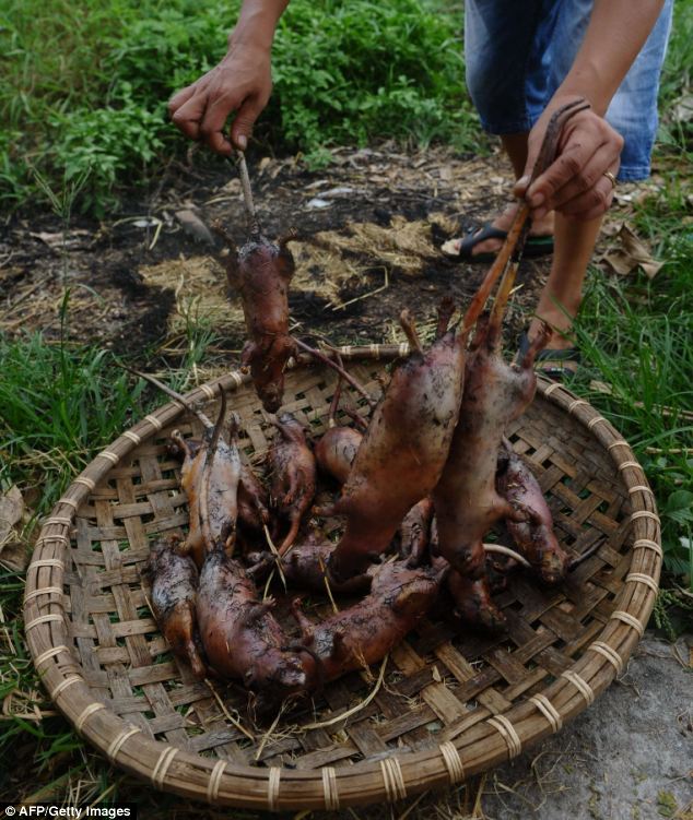 Chuột vào que: các sâu bọ được rang cho đến khi cháy trước khi sẵn sàng để ăn