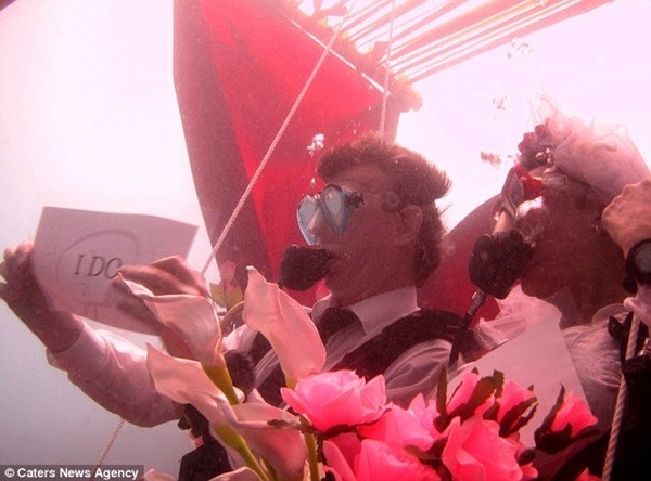Lễ cưới dưới nước long lanh tại thiên đường Maldives 4