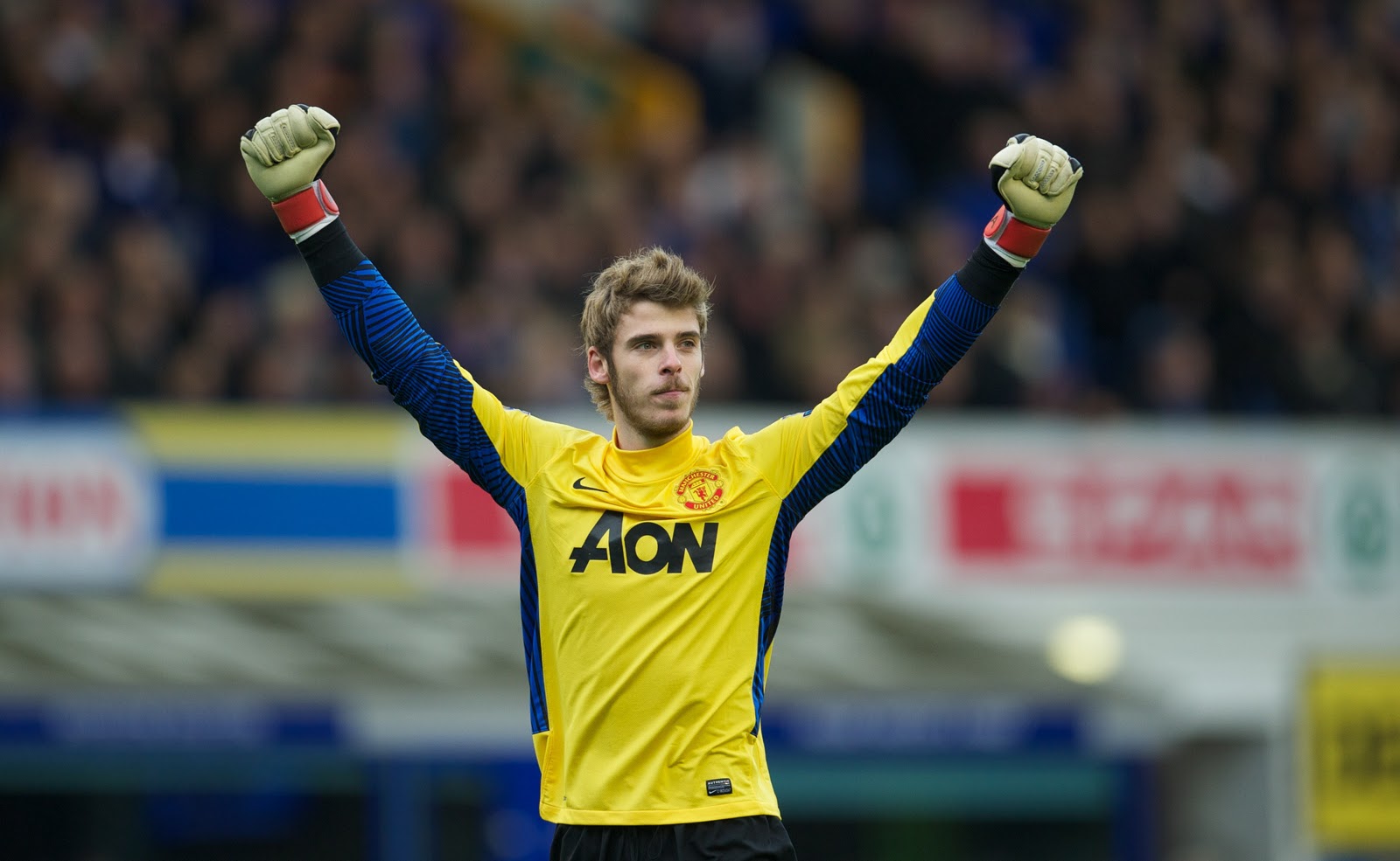 
	David De Gea