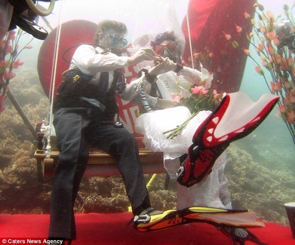 Lễ cưới dưới nước long lanh tại thiên đường Maldives 6