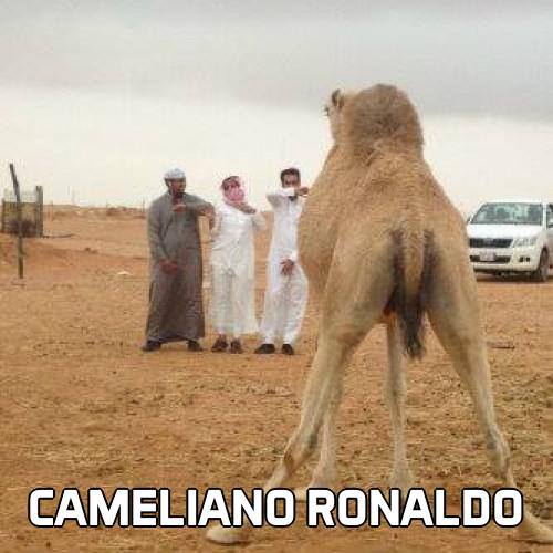 
	Ronaldo đứng trước hàng rào...