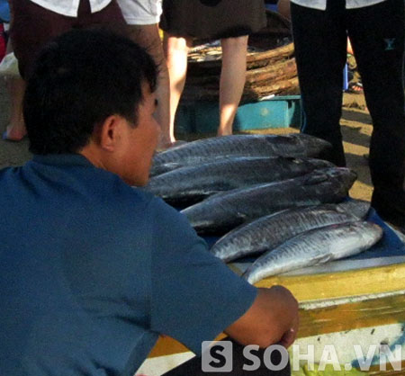 Cá tầm không rõ nguồn gốc được bày bán công khai tại các chợ trên địa bàn Hà Nội.