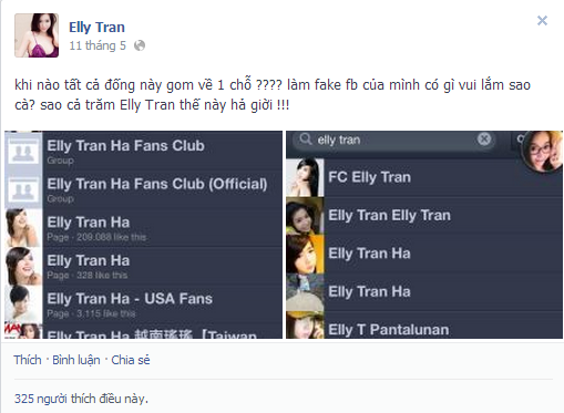 
	Có rất nhiều Facebook giả mạo Elly Trần (Ảnh FB)