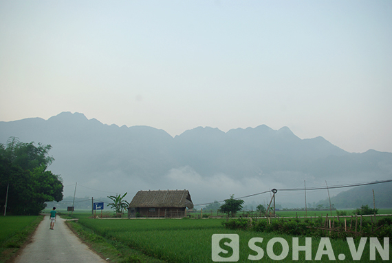 Mai Châu tinh khôi một sớm mai