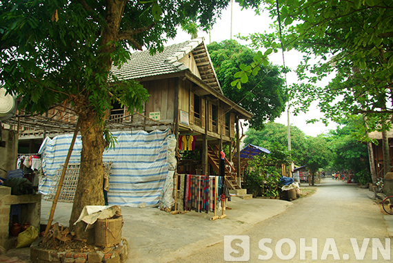 Mai Châu tinh khôi một sớm mai