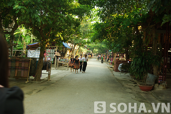 Mai Châu tinh khôi một sớm mai