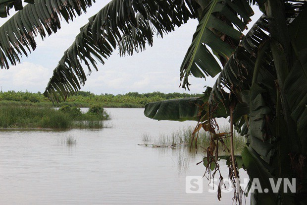 Khu đầm nhà ông Đoàn Văn Vươn