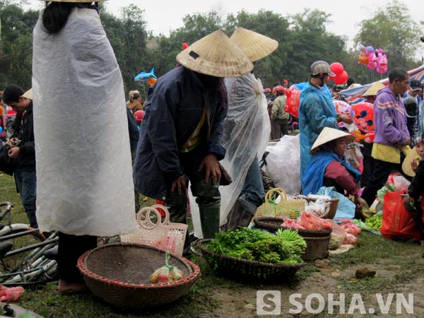 Đó là mớ rau, mẹt cà chua chín...