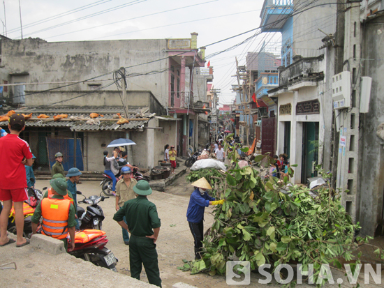 Trong các khu dân cư, cây cối được chặt cành để phòng chống gãy đổ trong bão.