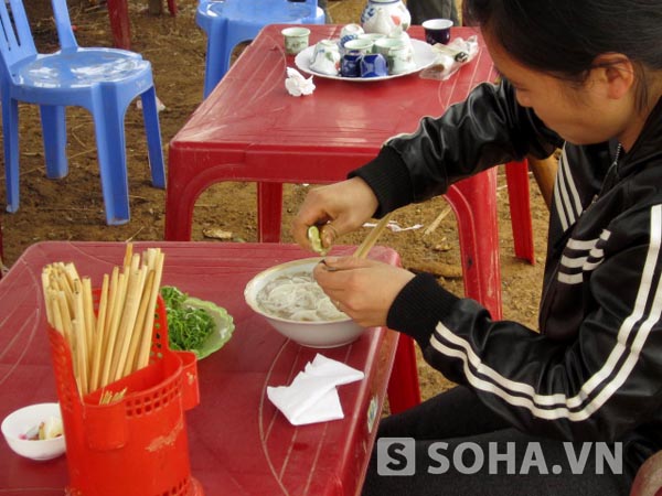 Một tô phở lèo tèo thế này cũng được 