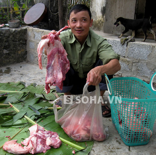 Tiền bạc trả cho chủ lợn cũng không phải vội theo kiểu 