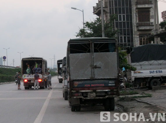 Hằng ngày, có hàng trăm chiếc xe tải lớn nhỏ các loại chở cá đông lạnh về Hà Nội tiêu thụ. Phần lớn các xe này đều tập kết hàng tại chợ đầu mối Yên Sở.