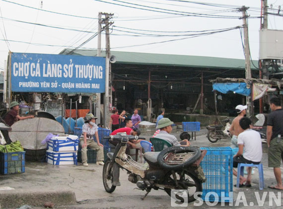 Chợ cá Yên Sở được xem là chợ đầu mối về cá lớn nhất Hà Nội. Ngay cả khi một tài xế chở cá tầm nhập lậu từ Trung Quốc về chợ đầu mối Yên Sở tiêu thụ vừa bị các cơ quan chức năng phát hiện và xử lý cách đây vài ngày thì tình hình buôn bán cá tầm ở đây vẫn diễn ra khá tấp nập.