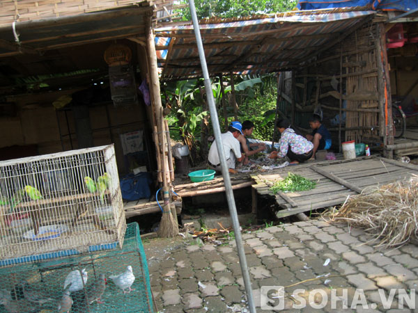 Chim hoang dã được làm thịt tại chỗ nếu như người mua có yêu cầu