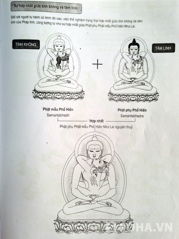 Phật phụ Phật mẫu Phổ Hiền Như Lai Vương