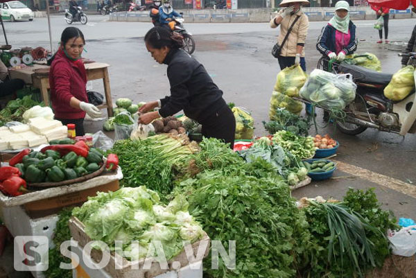 Giá rau xanh cũng có mức giá tăng cao.